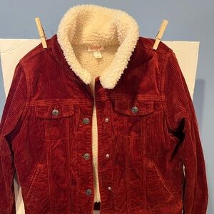 Cat and Jacket Corduroy fleece lined jacket